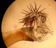 A.sphinx_seria_2_ed