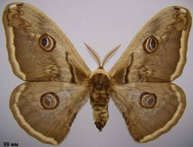 image019