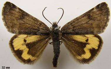 image019