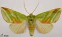 image026